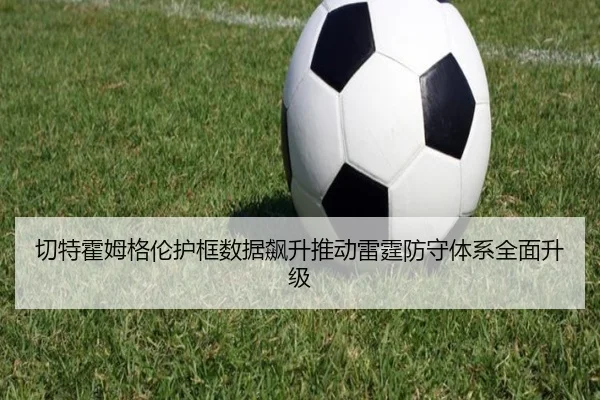 切特霍姆格伦护框数据飙升推动雷霆防守体系全面升级