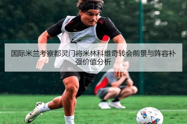 国际米兰考察都灵门将米林科维奇转会前景与阵容补强价值分析